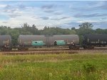 CTCX 732212